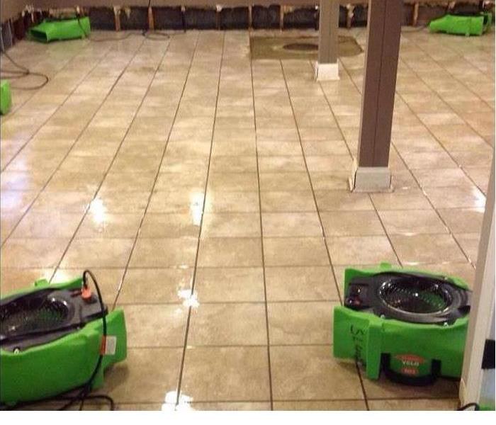 Cleaned tile floors