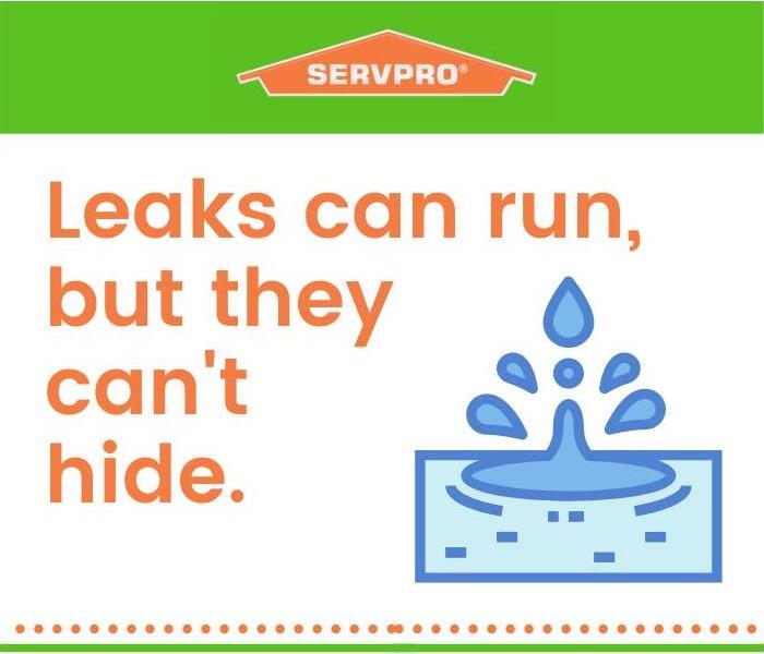 cartoon water leak and headline about finding leaks